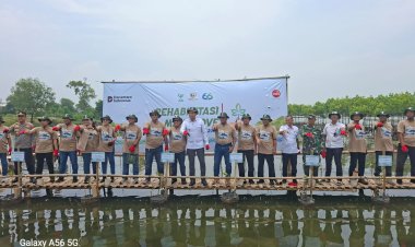 Perhutani Bersama Pemerintah Daerah Indramayu Dukung Konservasi Mangrove Di Indramayu 